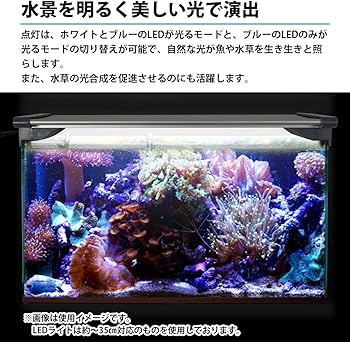 Amazon.co.jp: 30cm-35cm 水槽用 照明 LED ライト ブルー